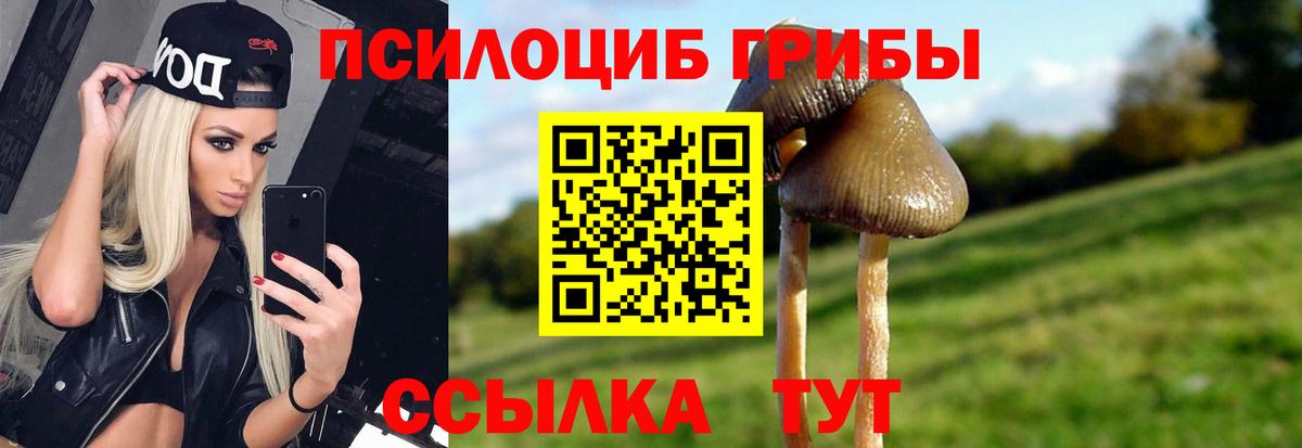 Анапа  Галлюциногенные грибы мицелий  Псилоцибиновые грибы Cubensis  хочу наркоту  Вход с VPN 